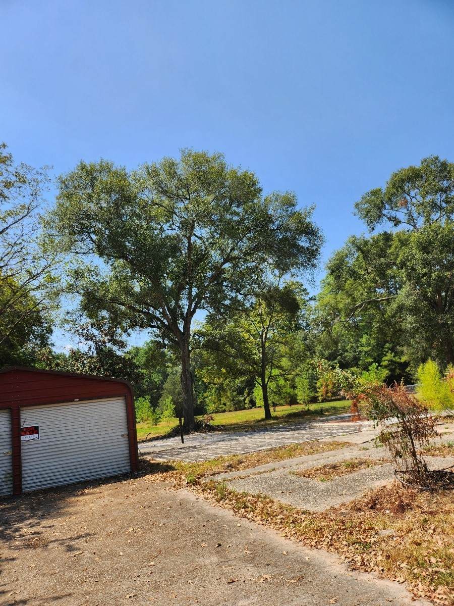 26002 Roping Pen Road - Photo 1