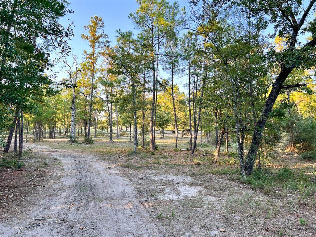 0 Pinedale Rd - Photo 1