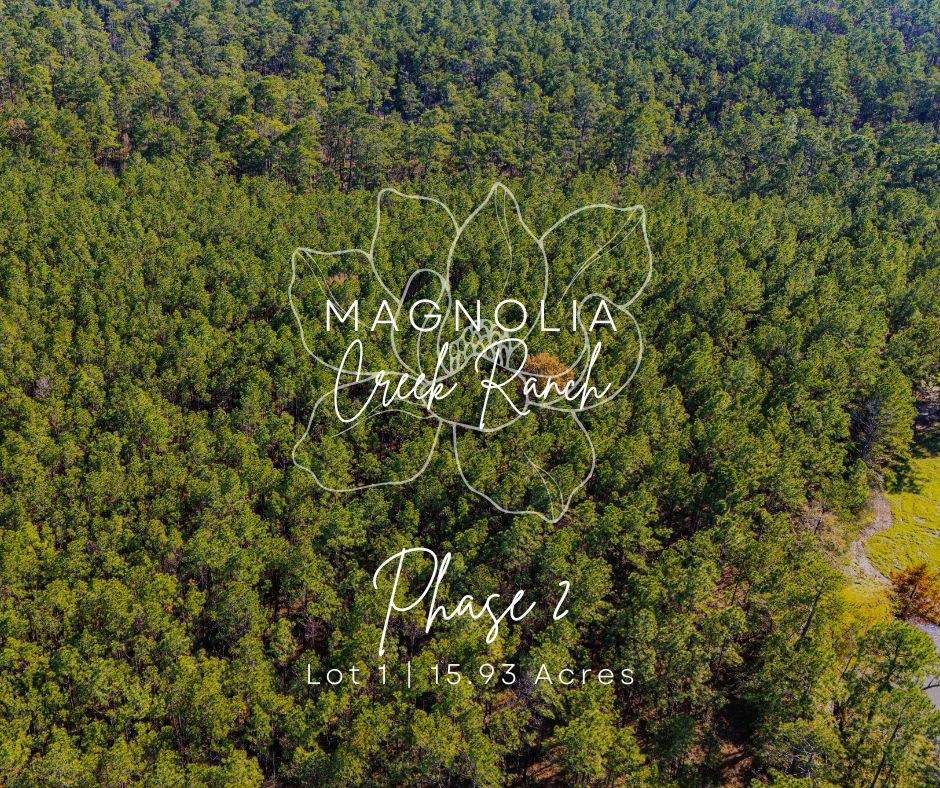021 Magnolia Ranch Road - Photo 1