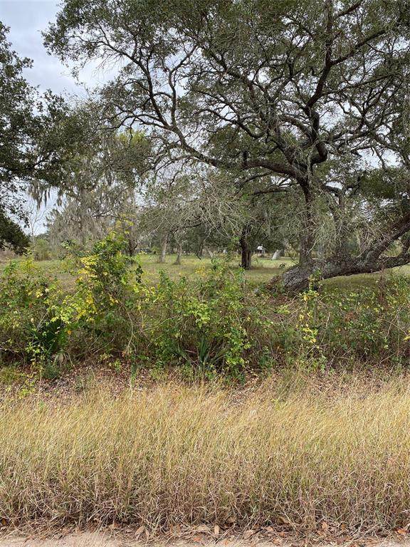 19288 County Road 319 - Photo 1