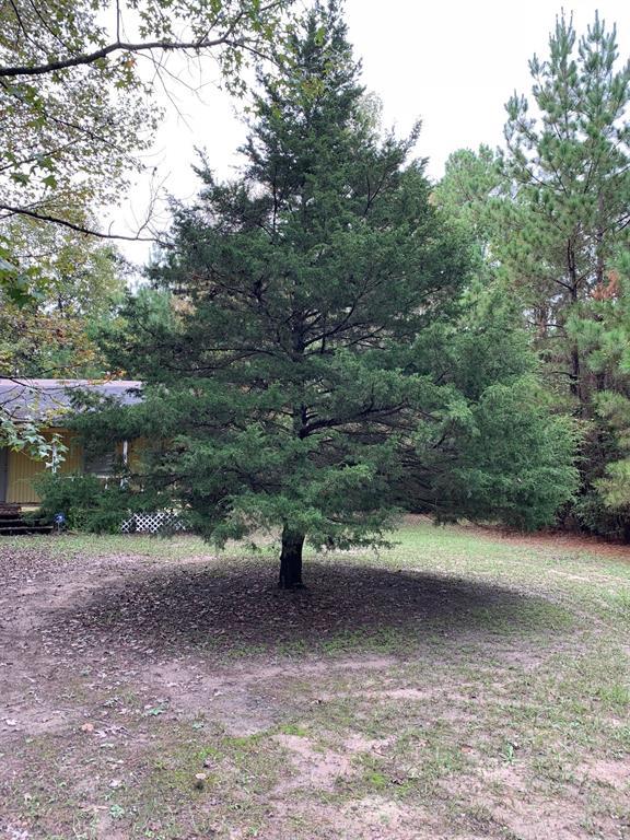 1629 Winding Creek Drive - Photo 1