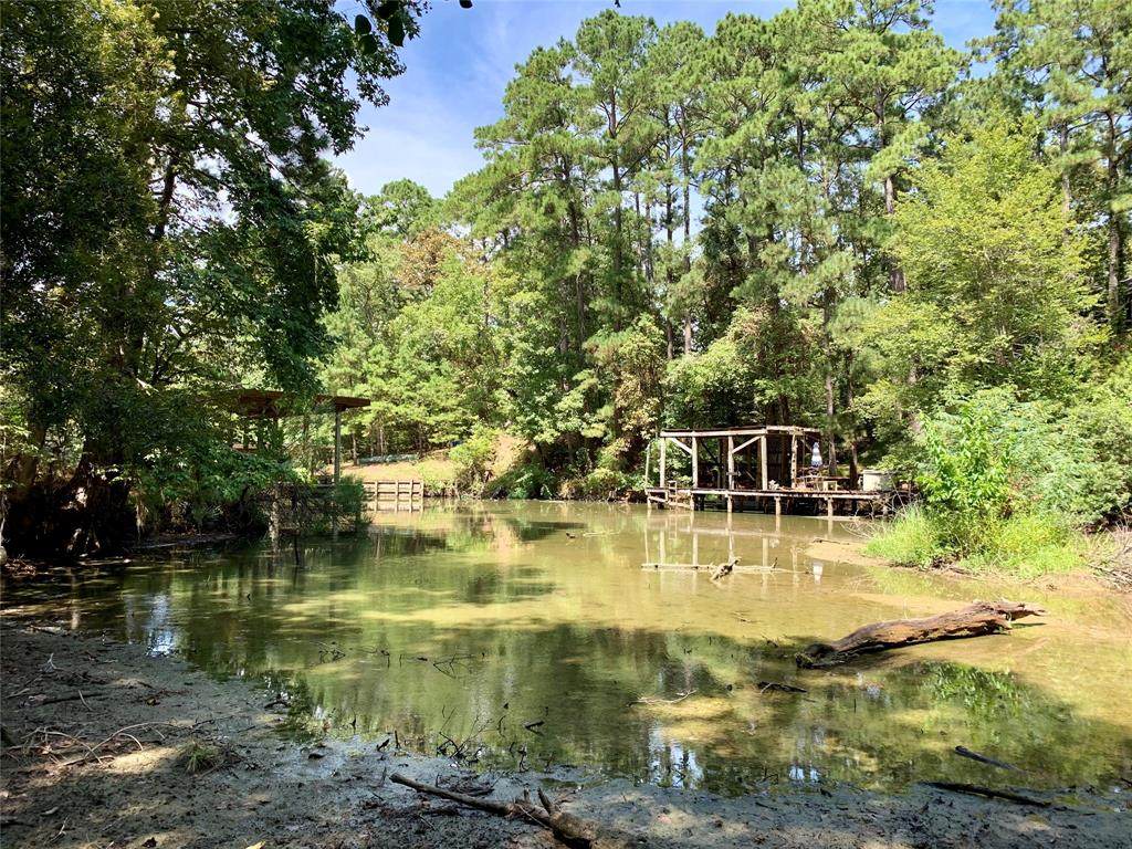 50 Lower Cove Drive - Photo 1