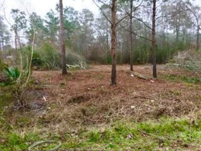 14255 Gray Road - Photo 1