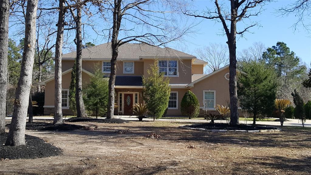 15524 China Grove Lane - Photo 1