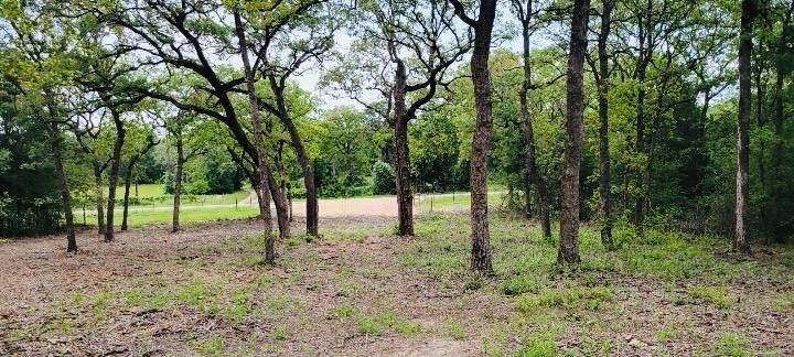Lot 3 at County Road 312 - Photo 1