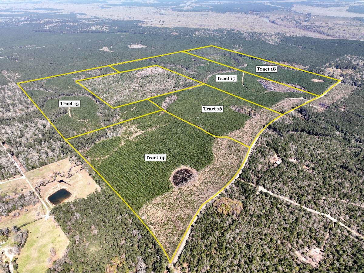 0 County Rd 4415 - Photo 1