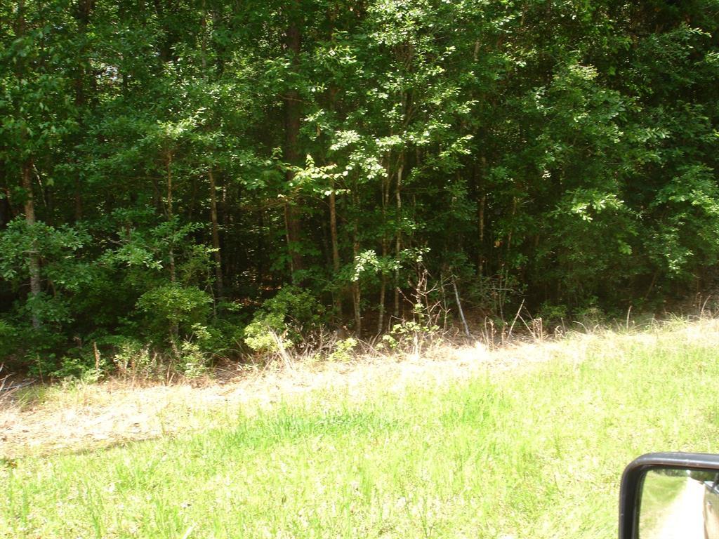 6711 Outlaw Bend Road - Photo 1