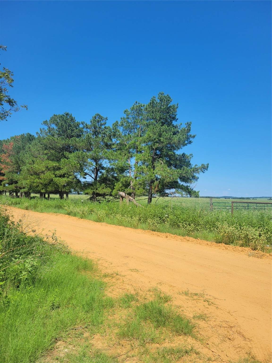 #2 Navarro Lane - Photo 1