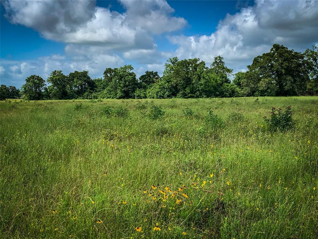45.21 Acres Sh 30 West - Photo 1