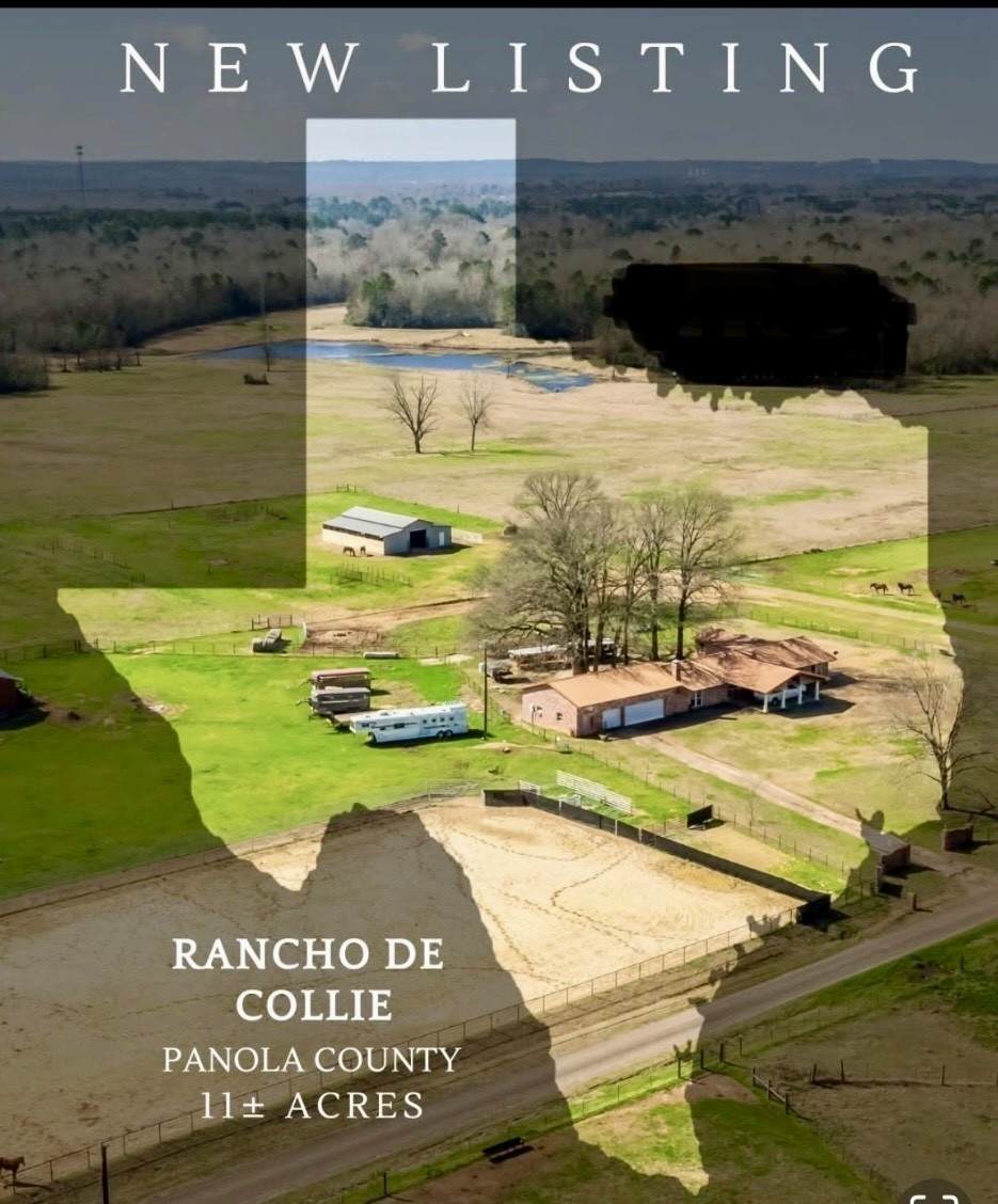 511 County Road 161 - Photo 1