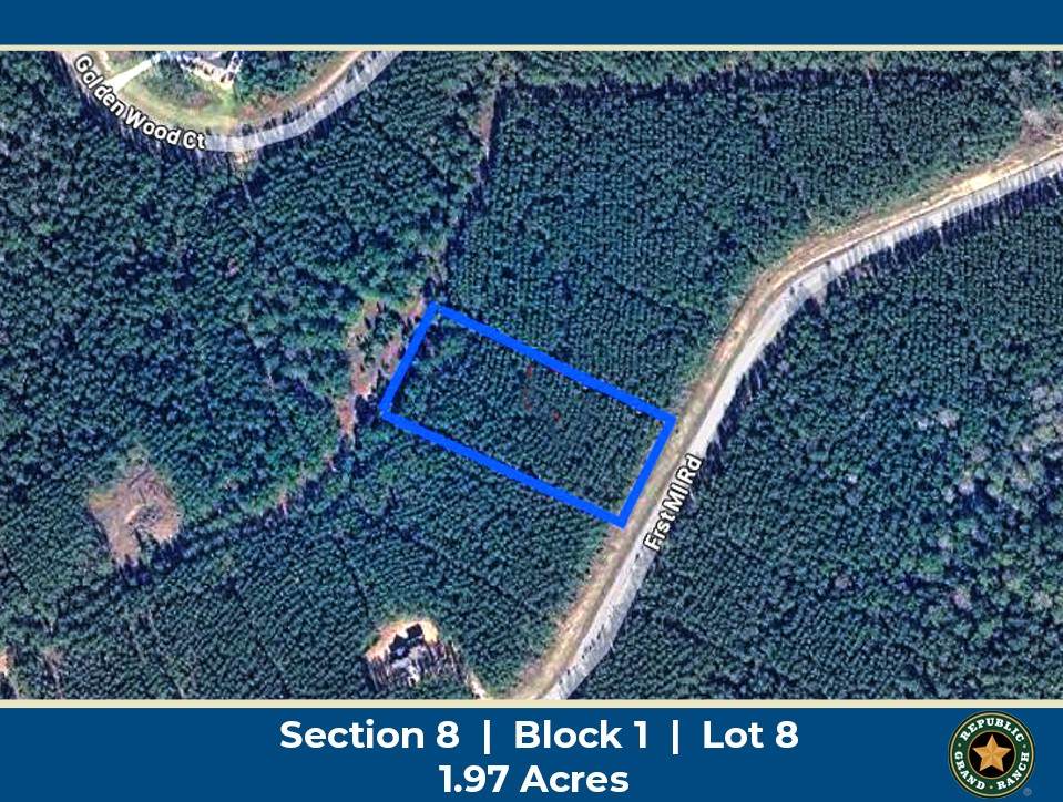 16046 Forest Mill Road - Photo 1