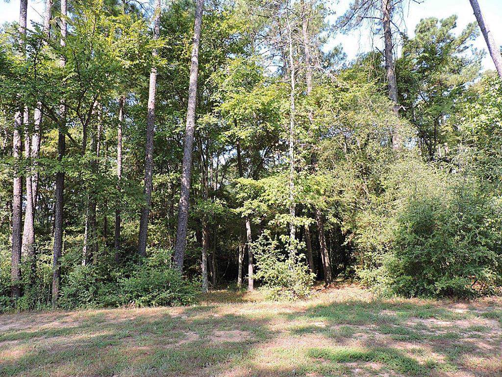 141 Pine Branch Drive - Photo 1