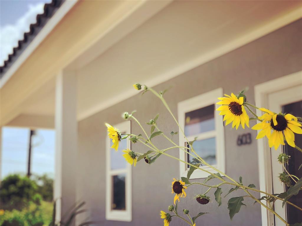 603 29th Street Street - Photo 1