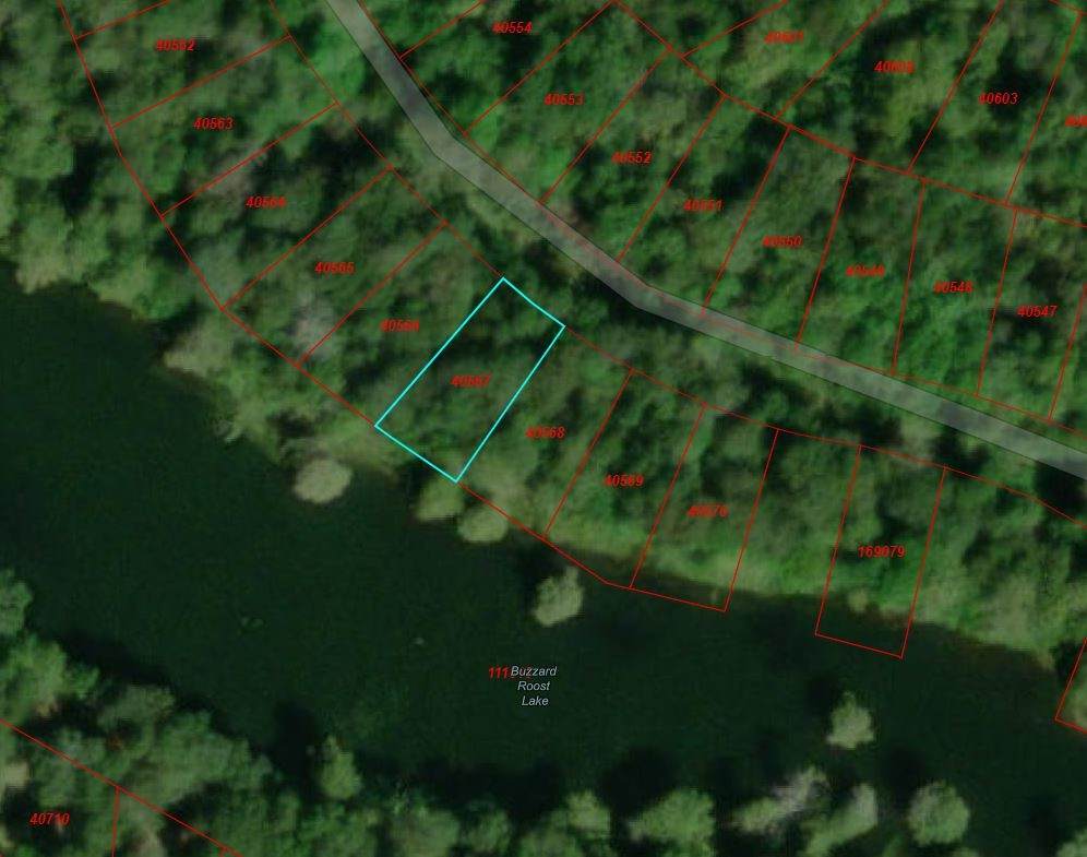 Lot 414 Trinity - Photo 1