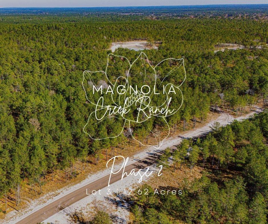 023 Magnolia Ranch Road - Photo 1
