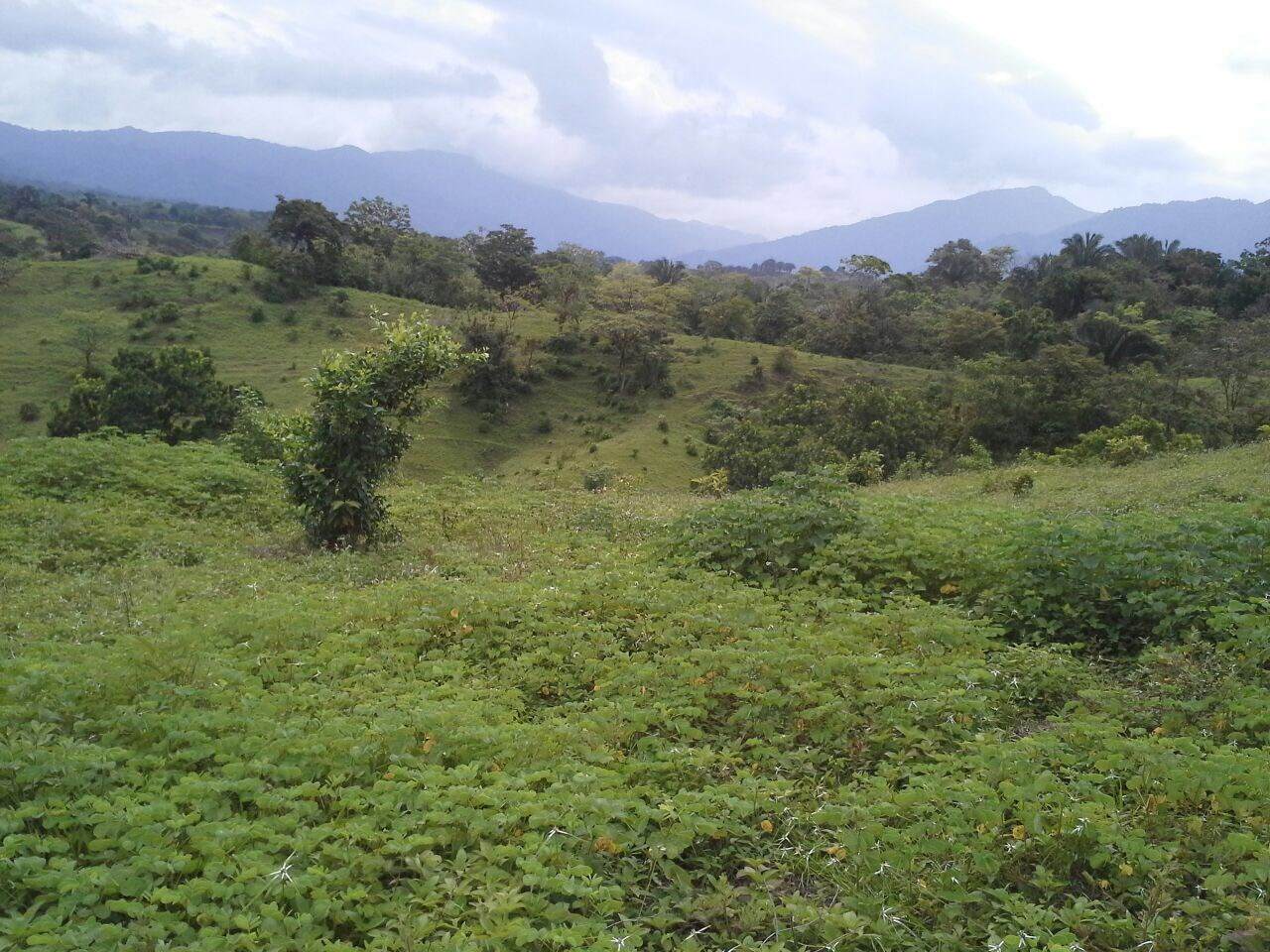 Entrada "Playita" Via Flores De Arenas De Quebro Street - Photo 1