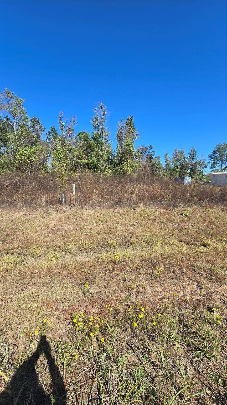 1167 Road 5894 - Photo 1