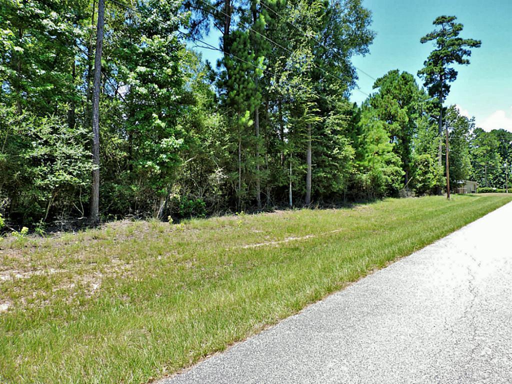 TBD Fm 3186 Lot 33 - Photo 1
