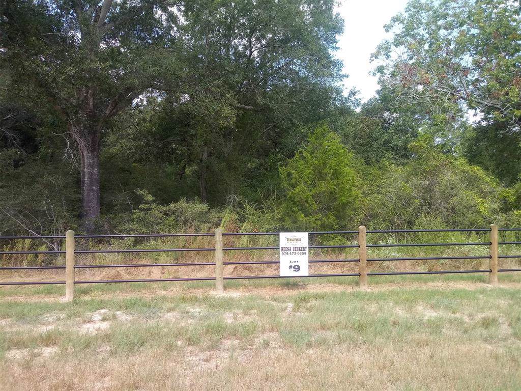 3981 Eli Road - Photo 1 3981 Eli Road - Photo 1