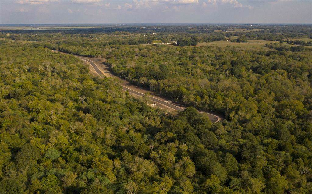 7884 Woodland Farms Lane - Photo 1