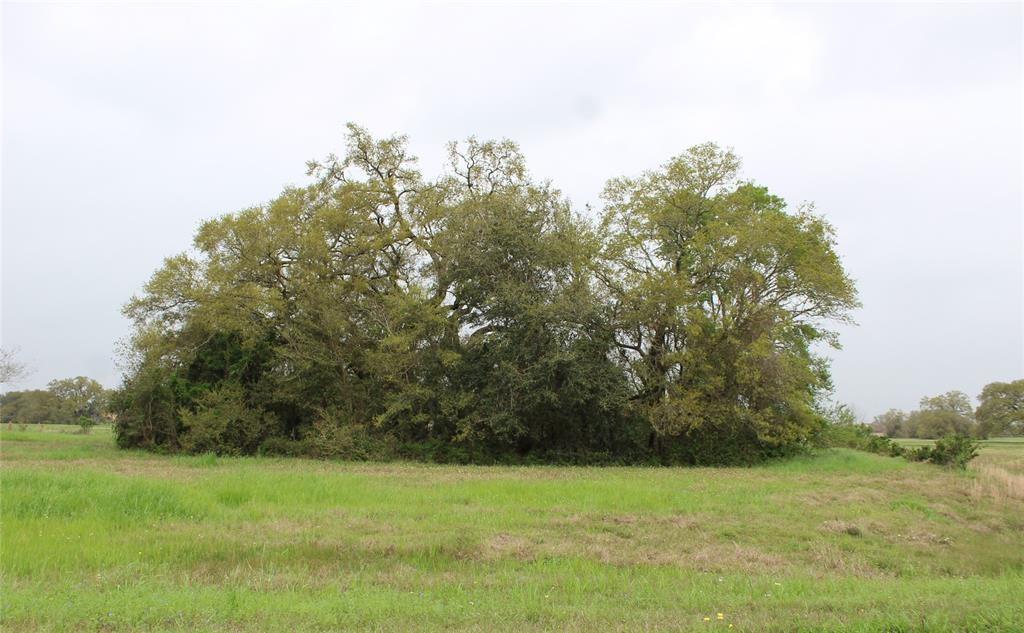 17727 Cedar Hill Drive - Photo 1