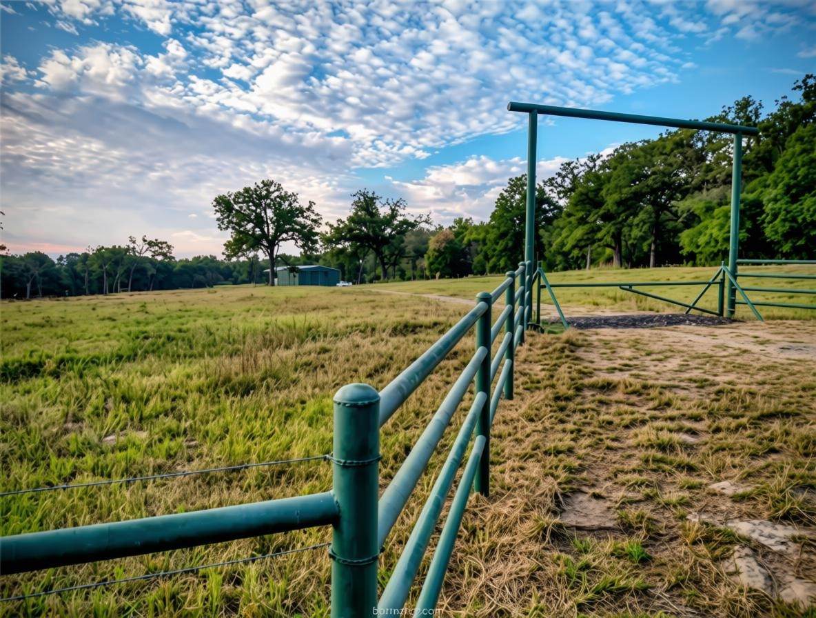 5997 County Road 308 - Photo 1