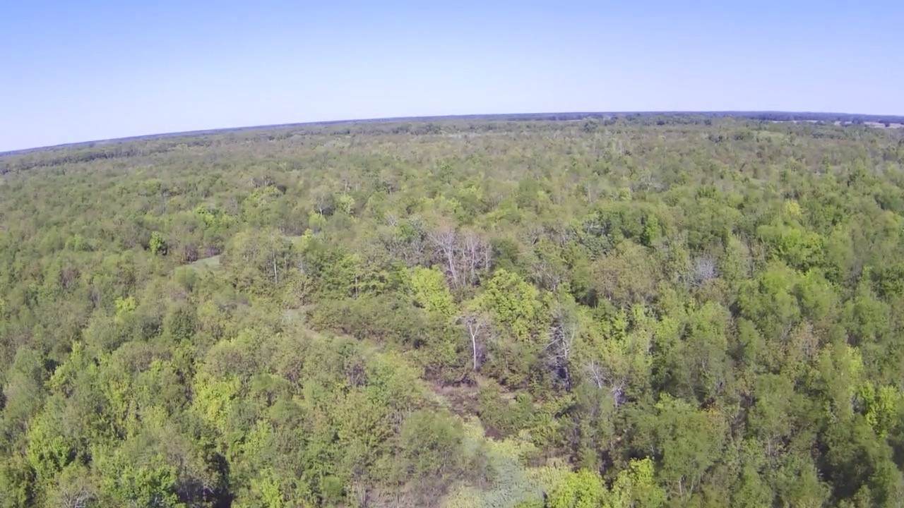 TBD Fm 71 East - Photo 1