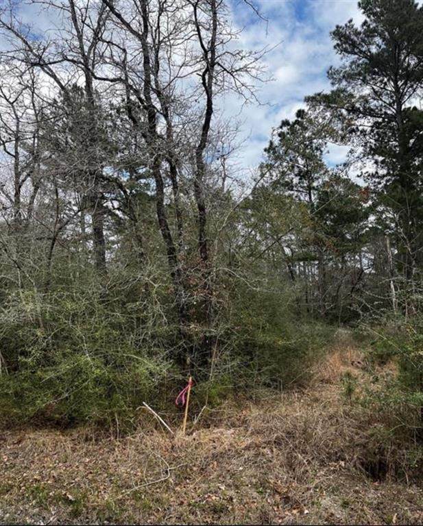 357 Pinnacle - Photo 1