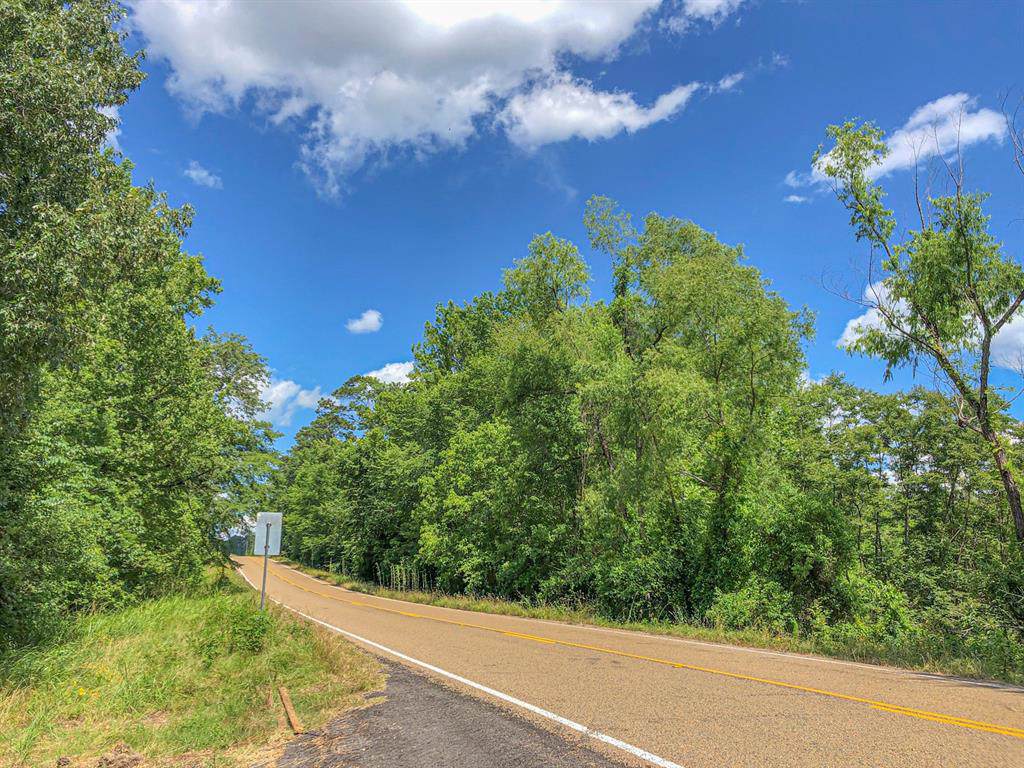 0000 W Caney Loop - Photo 1