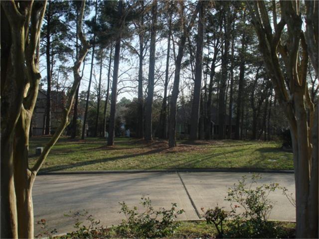48 Hillwood Lane - Photo 1