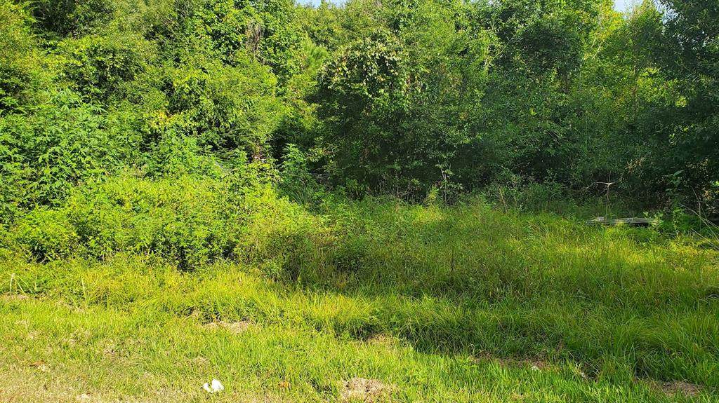 2651 Claire Drive - Photo 1