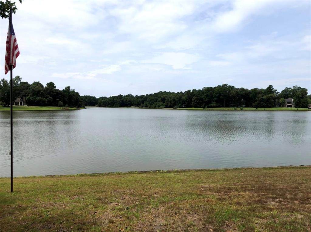 28019 Benders Landing Boulevard - Photo 1