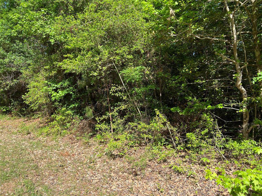 Lot 029 Hawk Lane - Photo 1