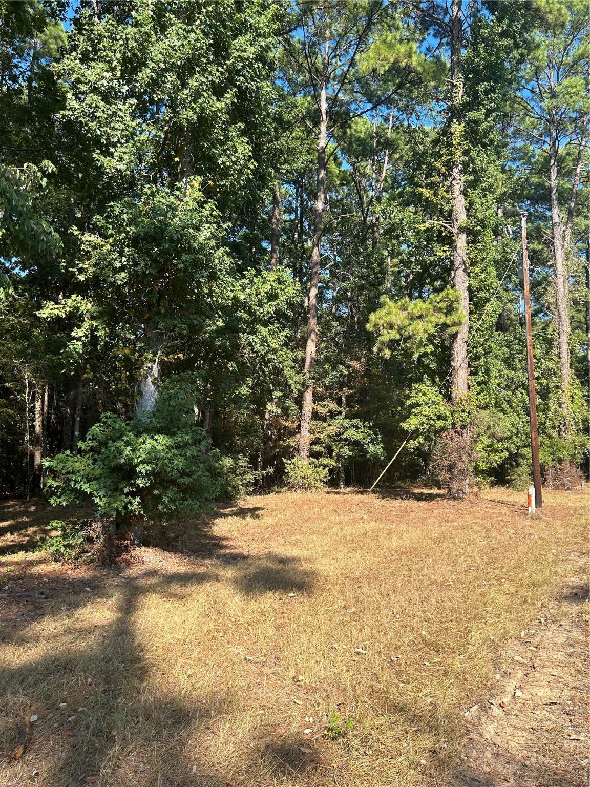 606162 Grand Pine Circle - Photo 1