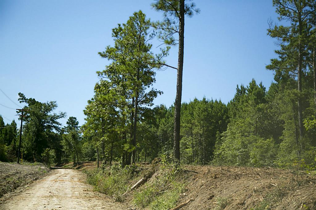 60 Ac County Road 4020 - Photo 1