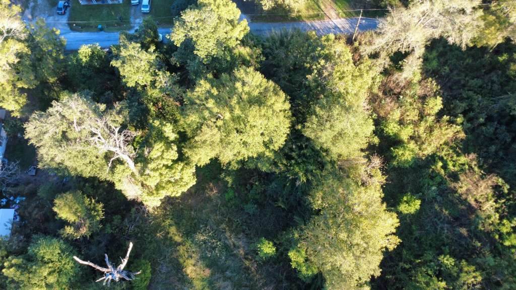 1900 Link Avenue - Photo 1