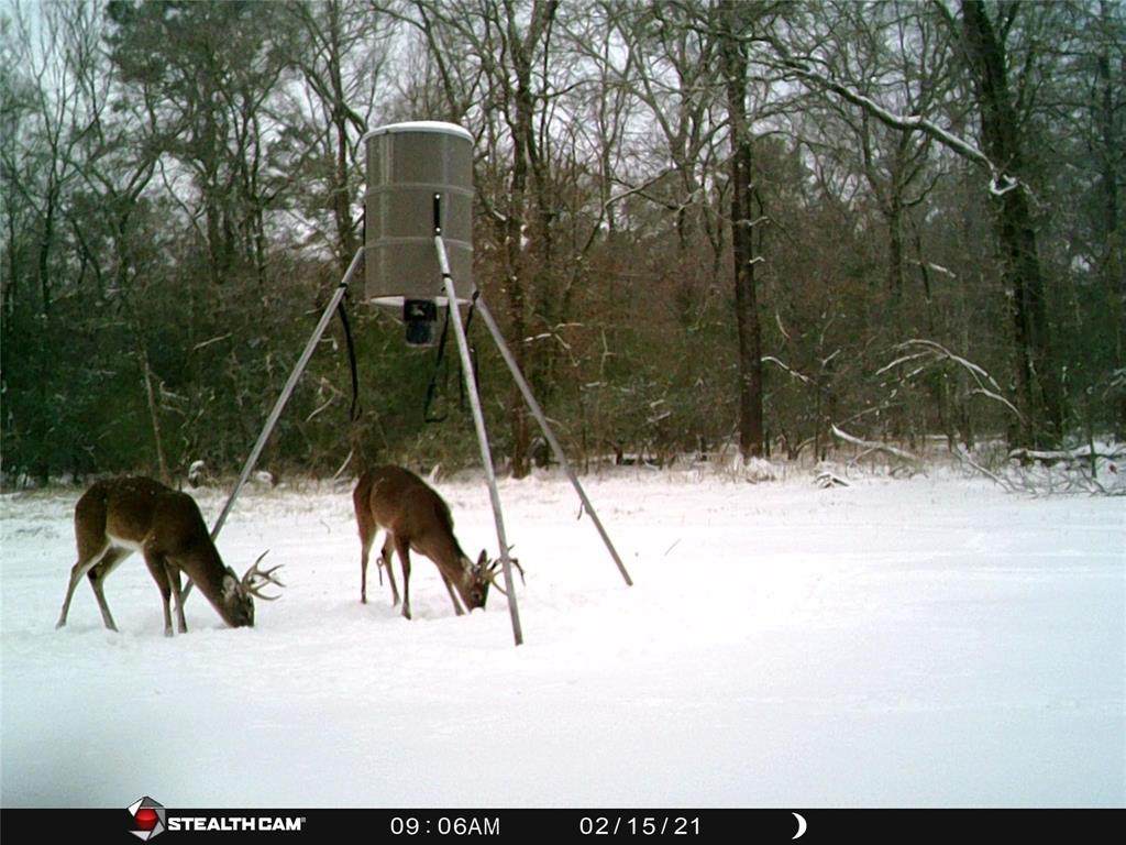0473 Fm 3478 - Photo 1