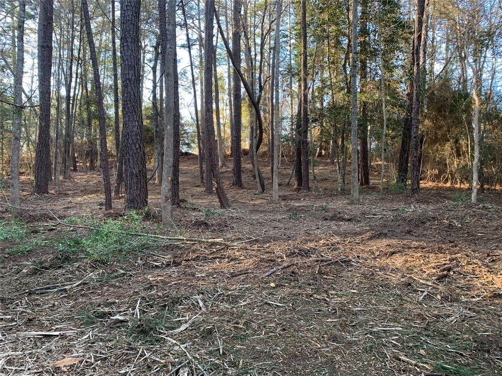 TBD Brightberry Court - Photo 1