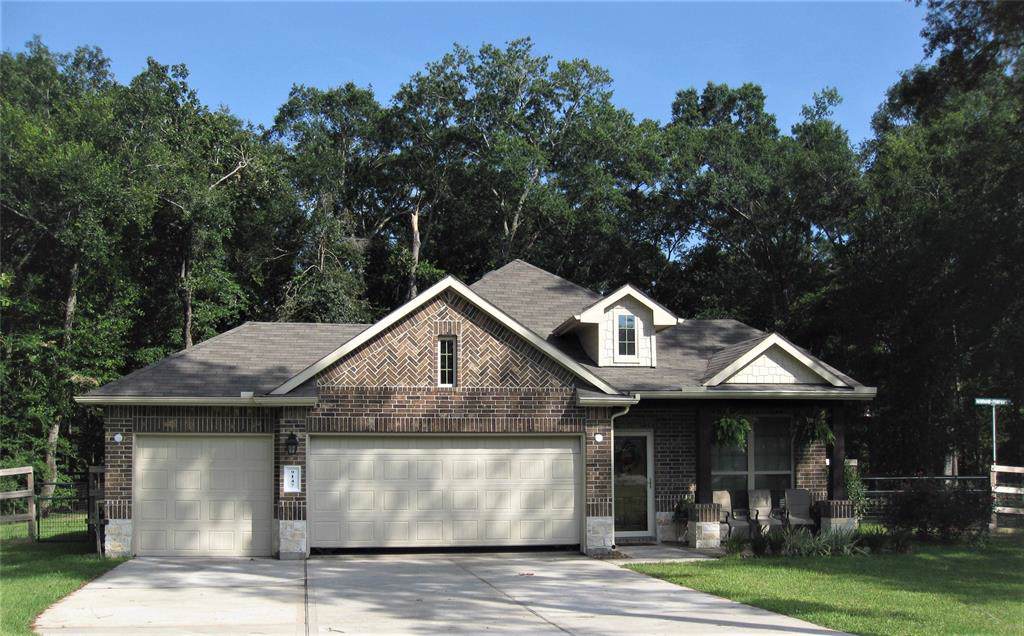 9147 Silver Back Trail - Photo 1