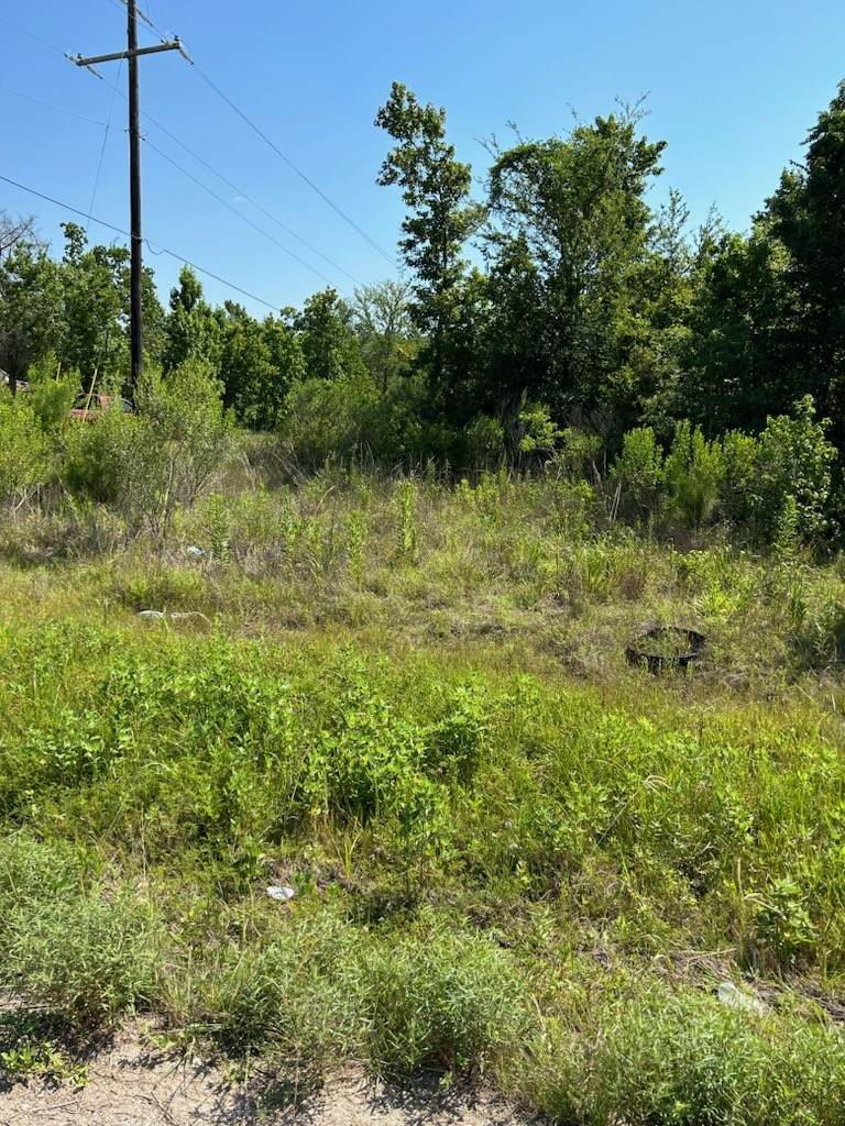 138 County Road 48761 - Photo 1