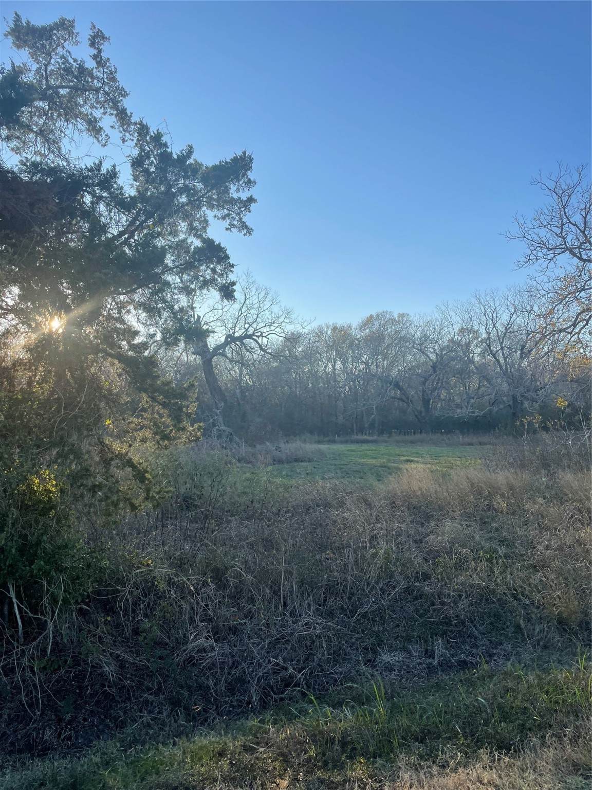 0 County Road 428 - Photo 1