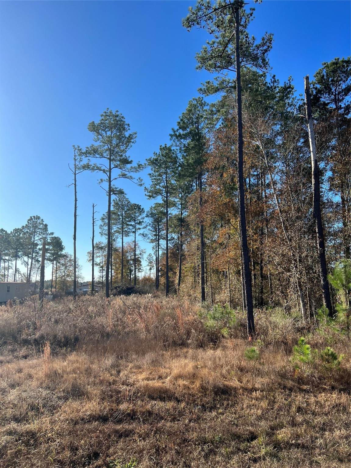 366 County Road 5021 - Photo 1