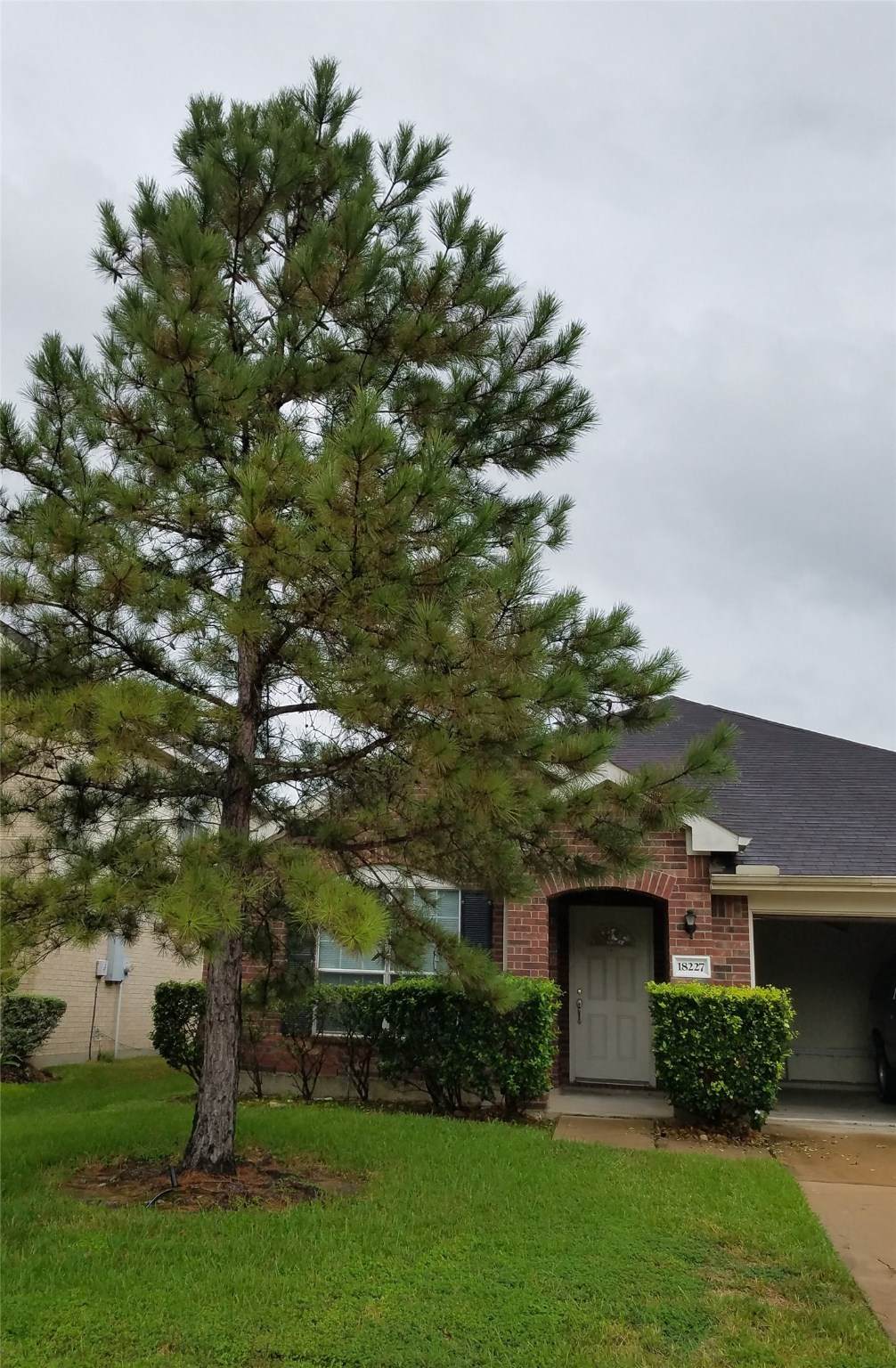 18227 Sweet Juniper Lane - Photo 1