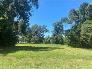 663 Pony Trail - Photo 1
