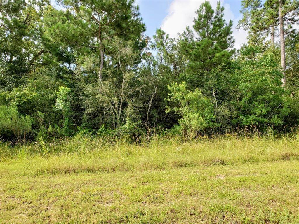 65 Kings Lake Estates Boulevard - Photo 1