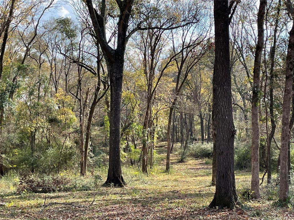 LOT 12 Pr 2323 - Photo 1