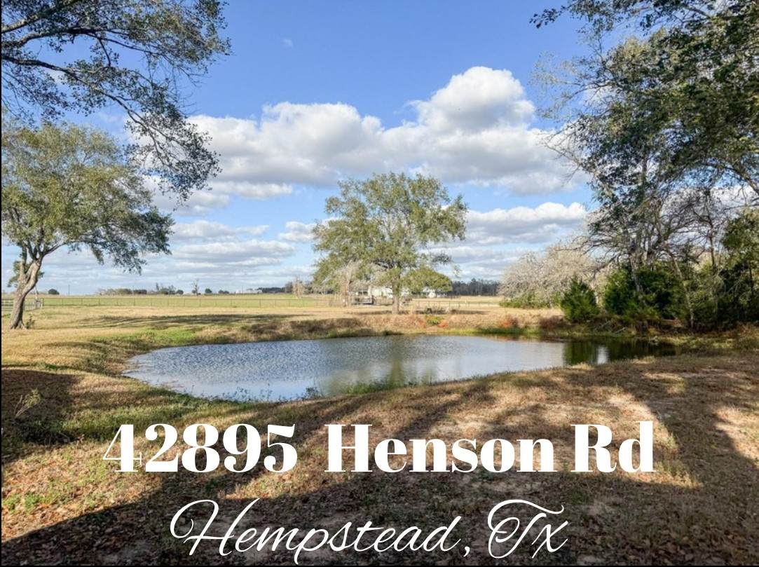 42895 Henson Road - Photo 1