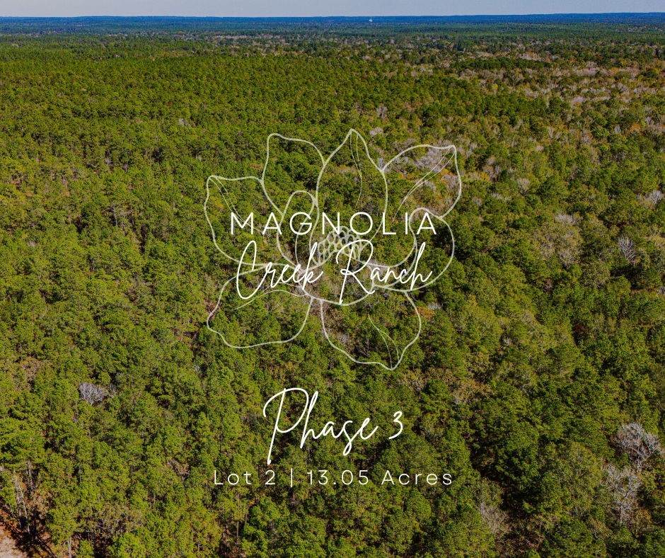 032 King Ranch Road - Photo 1