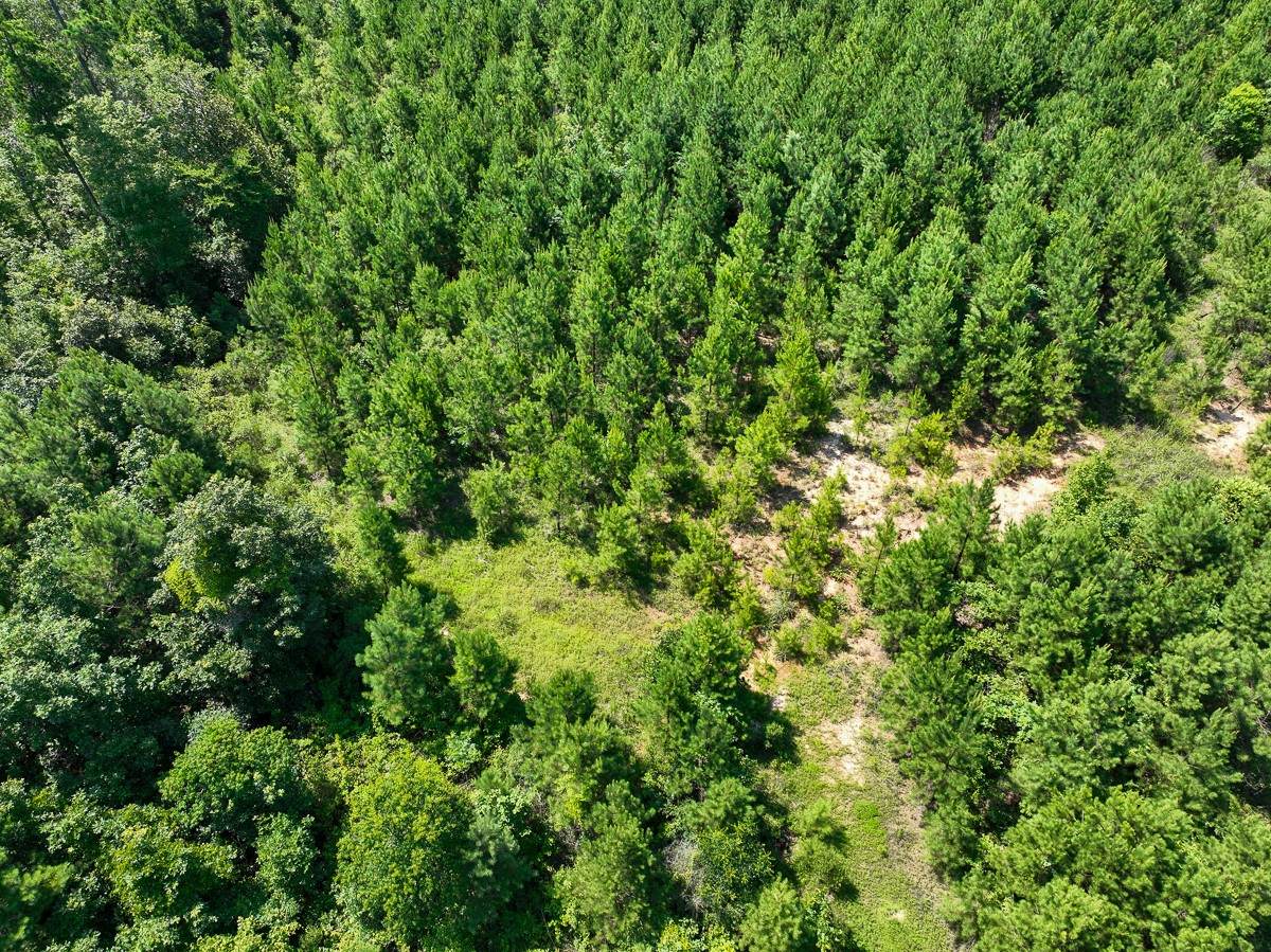 010 Carters Ferry Road - Photo 1