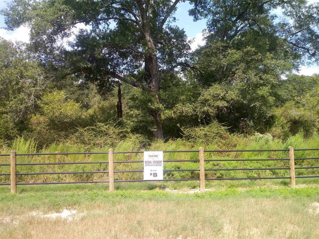 3909 Eli Road - Photo 1